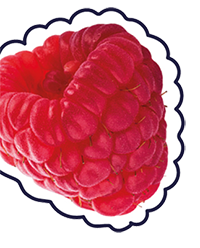 Raspberry